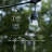 Serren Outdoor 24 - Bulb 576'' LED String Light