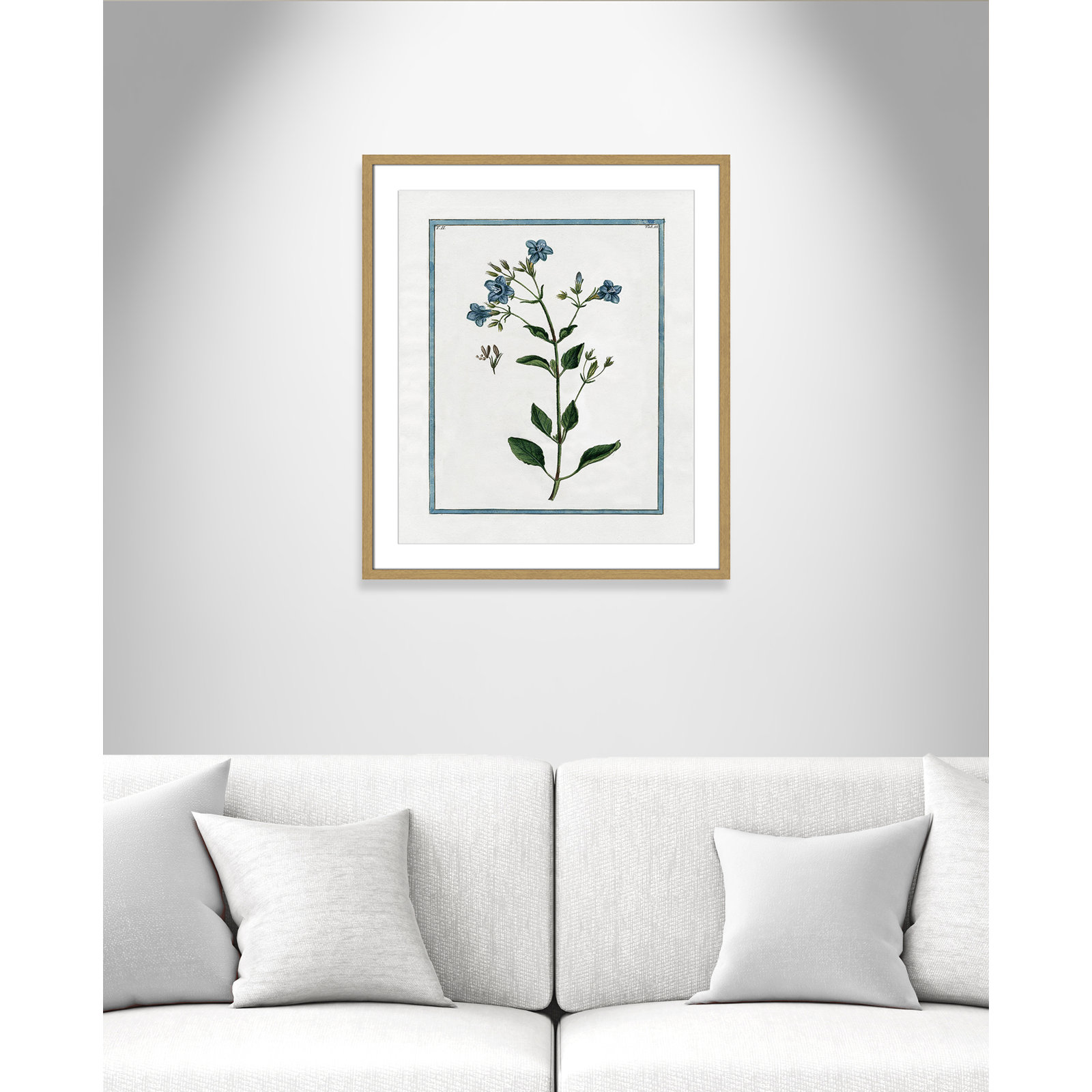 Colombe "Shabby Elegance Botanical II" Print, 21.5" W x 25.5" H, Natural Framed