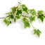 Garlands 160 cm H Faux Plant
