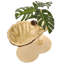Lilyanna 50cm H Cat Tree