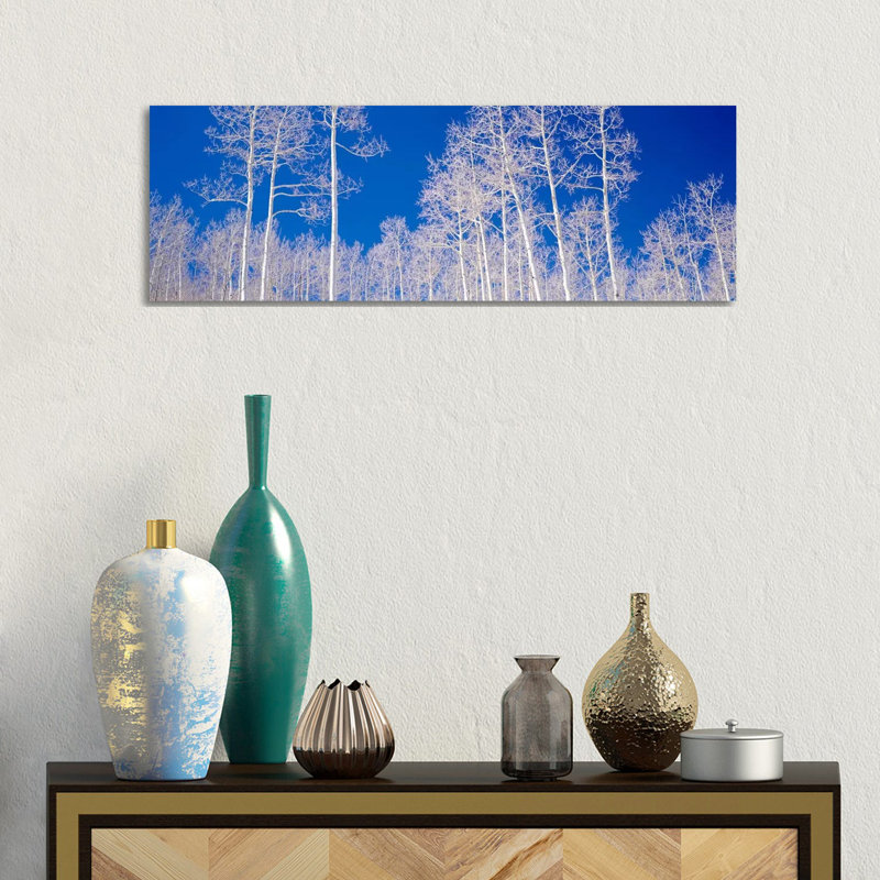 Low Angle View Of Aspen Trees In A Forest, Utah, USA by Panoramic Images - Wrapped Canvas Panoramic Print