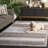 Northport Performance Polka Dots Rug-565147596