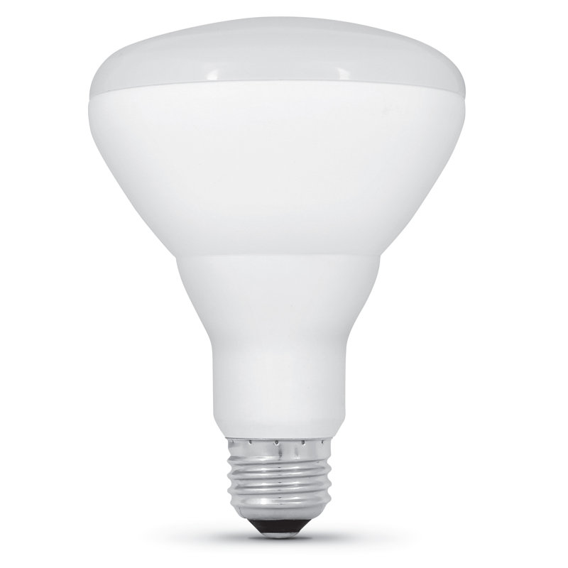 Ampoule à intensité variable de 65 watts à DEL BR30 à DEL, blanc chaud (2 700 K), culot E26 / moyenne (standard), 2700 K