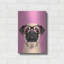 «Pug Pink» par Debbie Gray-2014618231