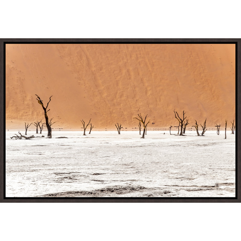 «Namibian Skeleton Trees V» par Richard Silver - peinture sur toile à cadre flottant, Couche de verre