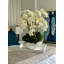 Orchid Floral Arrangement in Vase-832478504