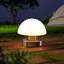 5.75" Desk Lamp-1240358647