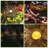 Solar Powered Integrated LED Pathway Light Kit