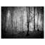 « matinée à l’épaisse automne forest », reproduction de photo sur toile tendue-518055346-500872779