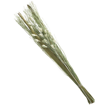Satanta Branch Plant