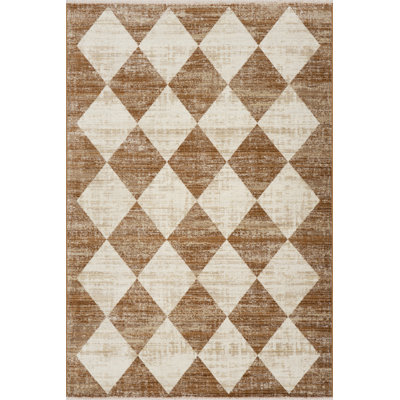  Meline Checkered Fringe Area Rug