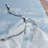 Chamber Polyester No Duvet Cover-125091500-125088300