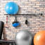 Binstead Wall Mounted Sports Rack