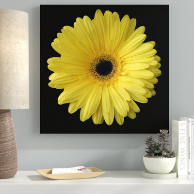 « yellow gerbera marguerite », reproduction de photo sur toile tendue