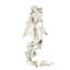 Brianna the Summer Breeze Fairy Wall Décor