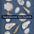 Kierslyn Natural Mixed Seashell Panel Wall Art Set with Champagne Frame - Handcrafted 2 Piece Vertical Coastal Wall Decor-116027059