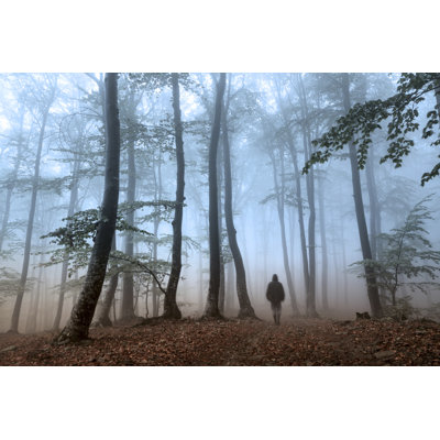 " Foggy Forest " by Bonciutoma