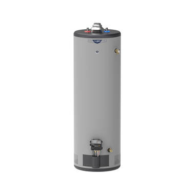 A.O. Smith ProMax Direct Vent Natural Gas Storage Tank Water Heater |  Wayfair