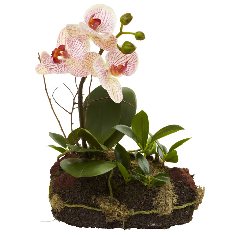 Arrangement floral orchidées