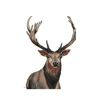 Elk by Elizabeth Medley - Wrapped Canvas Gallery-Wrapped Canvas Giclée