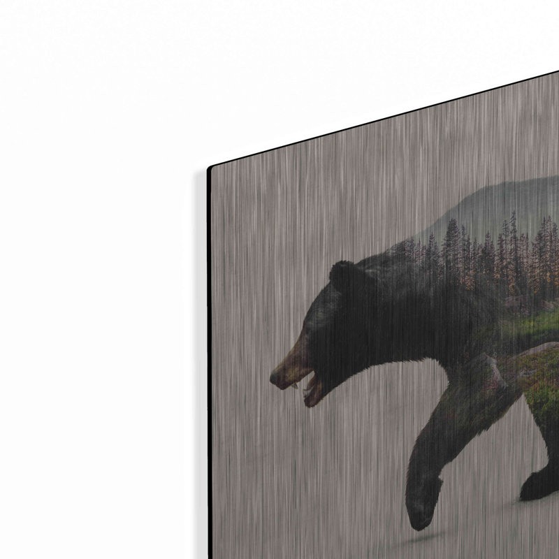 «The North American Black Bear» par Davies Babies, H 12 po x l 16 po