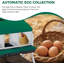 Nesting Boxes-2056190444