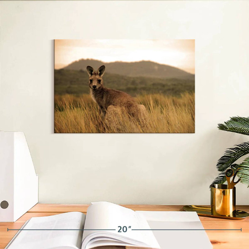 Brampt Wild Kangaroo, 8" H x 12" W