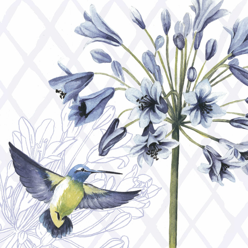 " Hummingbird Dance II " by Grace Popp Painting Print, 20" H x 20" W x 1.25" D