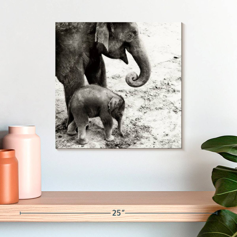 Crowle, mère et fille, éléphant