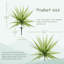 Agave artificiel 33 po-1313038670