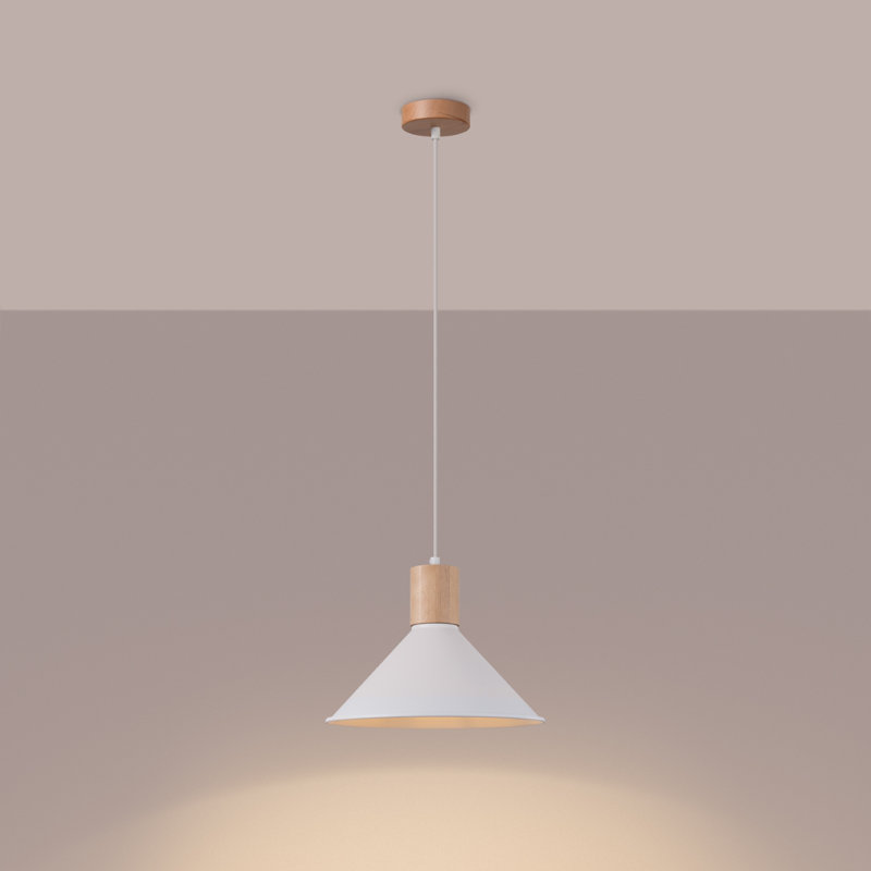 1 - Light Stainless Steel Pendant, White