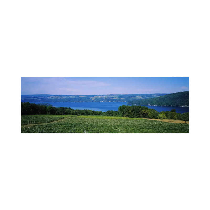 Paysage de vignoble, lac Keuka, Finger Lakes, New York, États-Unis - Giclée sur toile tendue avec châssis, H 24 po x l 72 po