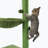 Coyst 37'' H Cat Tree
