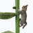 Coyst 37 " H Cat Scratching Post