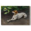 Fox Terrier with a Butterfly-Bruno Liljefors-Gallery Wrapped Canvas-1891-1606829092