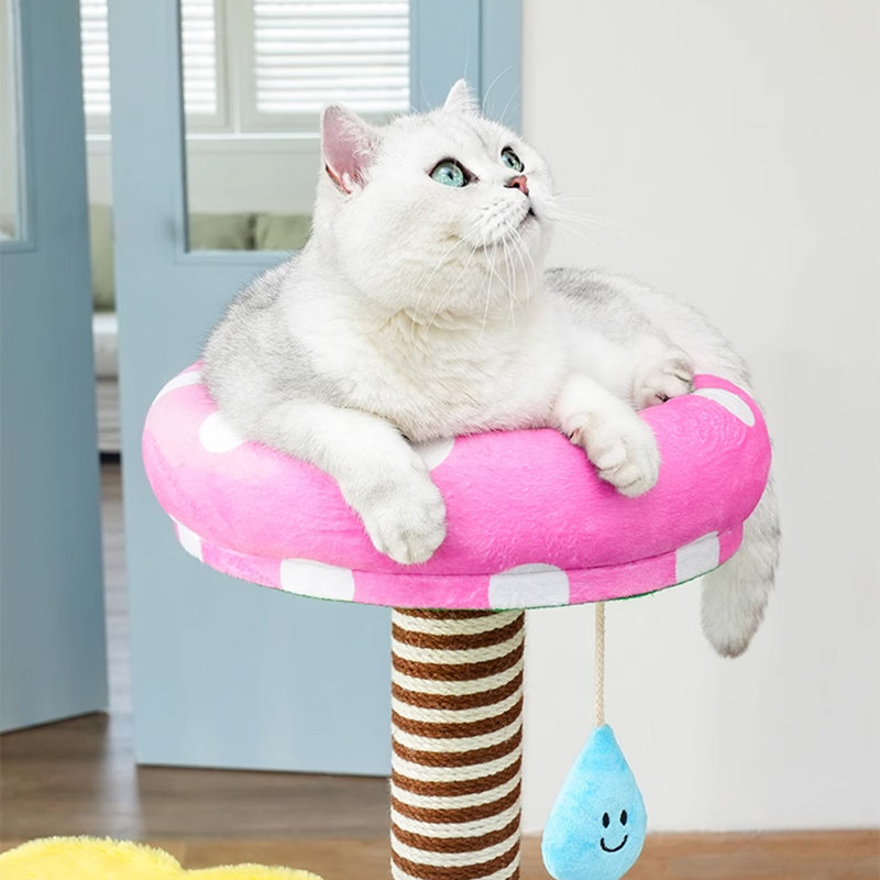 Arbre à chat 4 niveaux avec condons, perchoir, poteaux à griffer