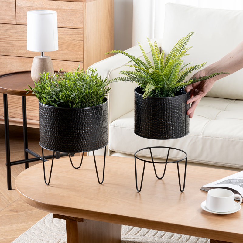 Indoor Black Metal Elevated Planter