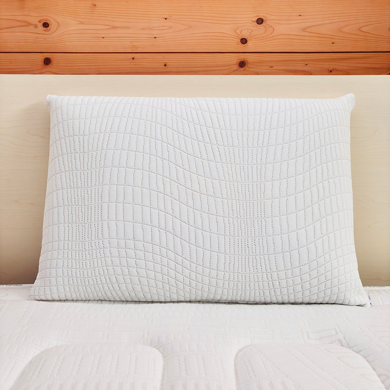 Fieldbrook Memory Foam Plush Performance Pillow