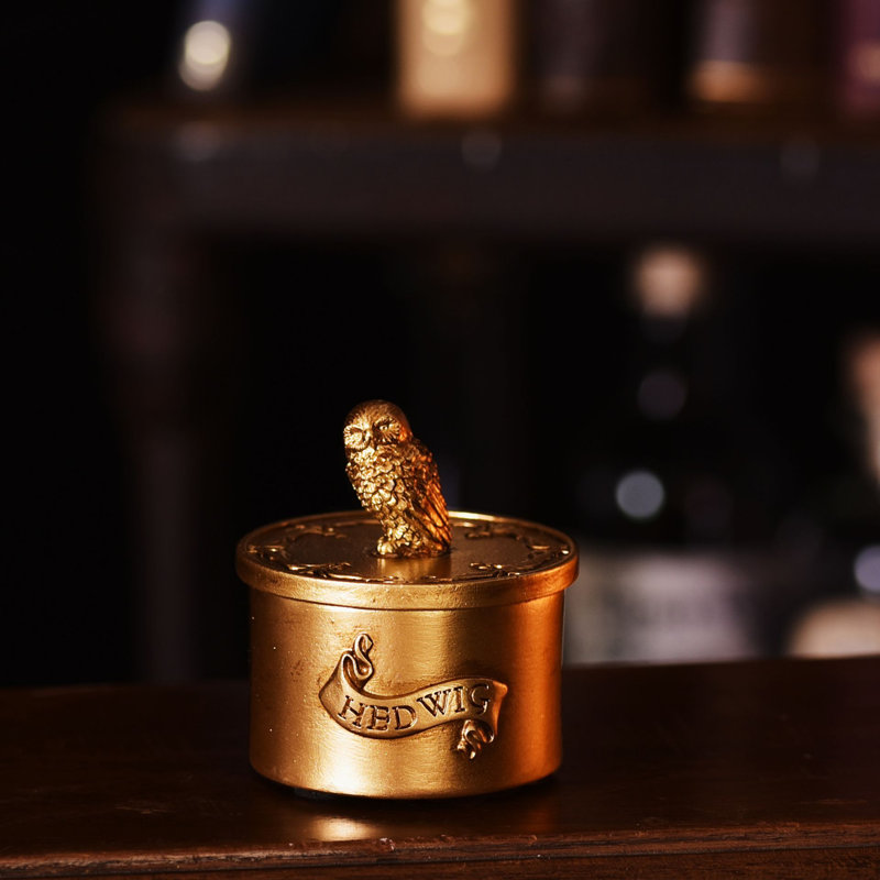 Warner Bros Alumni Trinket Box Hedwig
