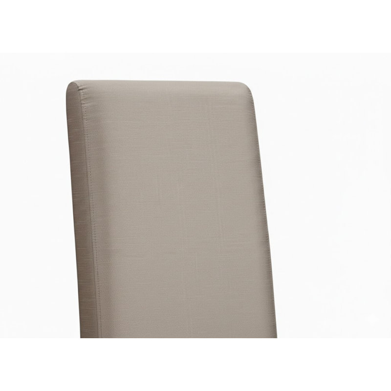 Ensemble de 2 chaises d'appoint en tissu champagne Dianne