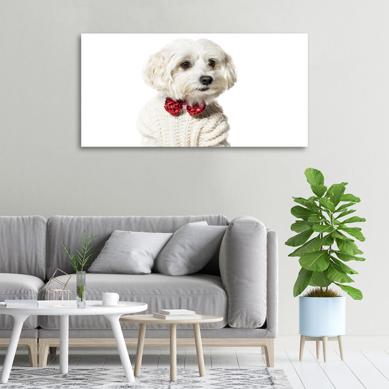 Maltese In A Bow Tie - No Frame Print on Canvas