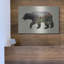 «The North American Black Bear» par Davies Babies-2138252679