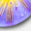 Blooming Violet Lotus Close up - Modern wall clock-34140973
