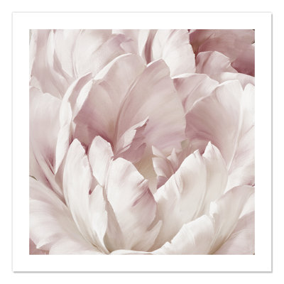 Intime rosé III - photographie