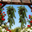 Ensemble de 2 branches de pin artificielles avec cônes plantes vertes aiguilles de pin plantes suspendues artificielles à l'extérieur Accessoires de bricolage pour l'extérieur pour couronne de Noël et décoration de jardin (vert)
