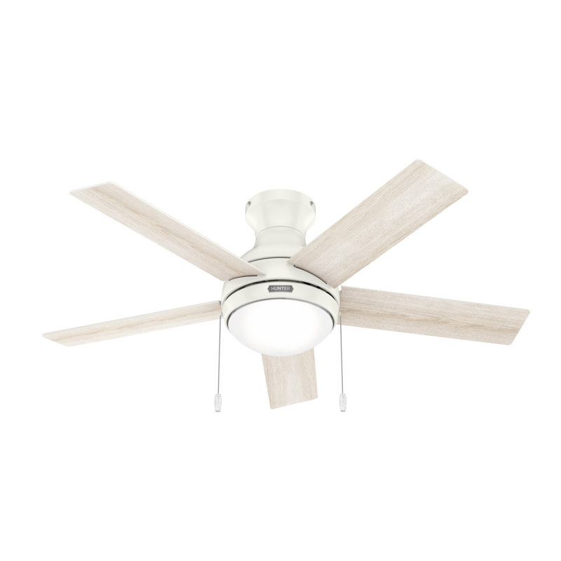 44" Aren 5 - Blade Flush Mount Ceiling Fan with Pull Chain and Light Kit Included, White