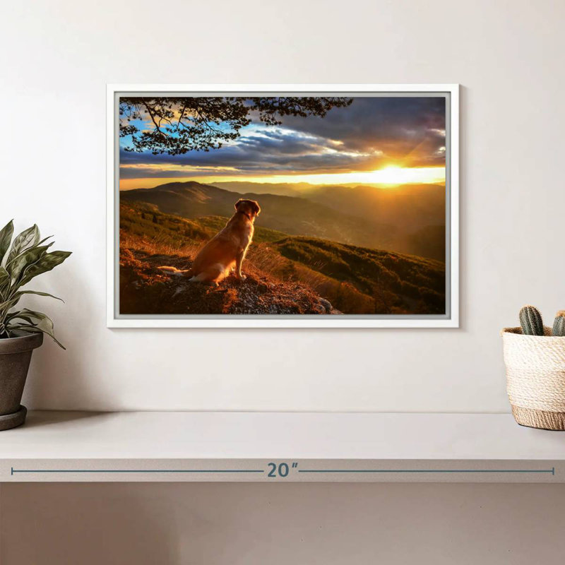 Chien regardant le lever du soleil, Cadre flottant blanc, 13 po x 9 po