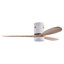 Ventilateur de plafond Jameison