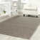 Tapis gris tissé à la main Adelmar
