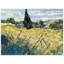 Vincent Van Gogh - Wrapped Canvas Painting-21213102